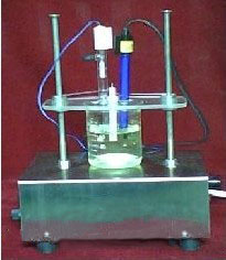 늻��W����վ