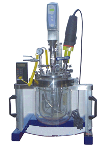 ���|(zh��)�黯����(y��ng)��