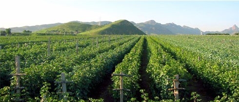 鞏義科瑞讓您的生活更美好