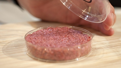 20年后的牛肉 20年后的牛肉